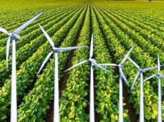 एमपी में 23634 पंचायतों और 444 तहसीलों में विंड सिस्टम, हर 15 मिनट में मौसम और बारिश की रिपोर्ट