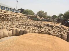 गेहूं विक्रय के लिए मध्यम और बड़े कृषकों को मिली नई सुविधा, अब होगी स्लॉट बुकिंग