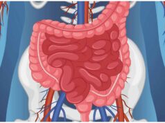 ज्यादा तीखा खाना पड़ सकता है भारी, पेट और पाचन पर डालता है असर