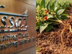 अश्वगंधा विवाद: FSSAI ने पत्तियों पर लगाई रोक, जड़ खाने से पहले जान लें फायदे-नुकसान