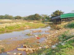 पानी बचाने की मुहिम बनी जन-आंदोलन, मध्यप्रदेश में दिखा असर