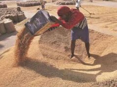 मुख्यमंत्री की पहल, गेहूं खरीद में किसानों को मिली बड़ी राहत