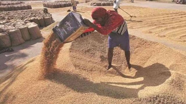 wheat_A_45_1-3.jpg