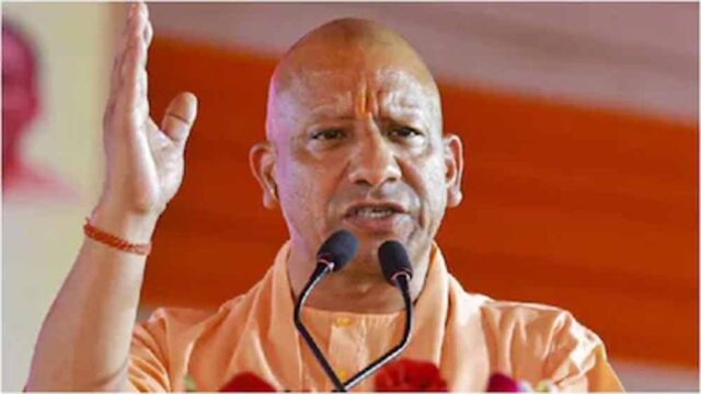yogi2-2.jpg