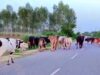 लखनऊ से शुरू होगा ग्रामीण समृद्धि का नया अध्याय, बायोगैस और जैविक खाद पर फोकस