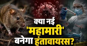 क्रूज शिप पर हंतावायरस का कहर, 3 मौतों के बाद WHO ने जारी किया अलर्ट