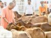 गोमाता से समृद्धि तक, उत्तर प्रदेश में गोवंश आधारित विकास की नई कहानी