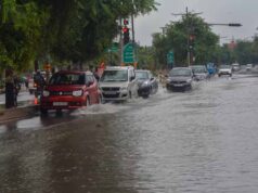 तेज हवाओं और बारिश का डबल अटैक, आम की फसल को भारी नुकसान