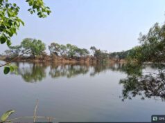 जल संकट से राहत की खबर: नहरों से जलभराव कर हजारों तालाबों में लौटी रौनक