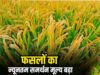 खेती से बढ़ेगी कमाई: मोदी सरकार ने खरीफ फसलों की MSP में किया इजाफा, देखें पूरी लिस्ट