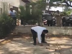 अधिवक्ता का बैग छीनकर पेड़ पर चढ़ा बंदर, 2 लाख रुपये की बरसात से मचा हड़कंप