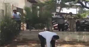 अधिवक्ता का बैग छीनकर पेड़ पर चढ़ा बंदर, 2 लाख रुपये की बरसात से मचा हड़कंप