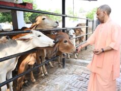 यूपी में ‘ऑपरेशन-4’, स्वदेशी गायों से डेयरी सेक्टर में बड़ा बदलाव, गो पालन पर 50% तक सब्सिडी: सीएम योगी