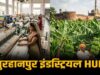 इतिहास से उद्योग तक: बुरहानपुर में 1000 करोड़ निवेश से खुलेंगे रोजगार के नए रास्ते