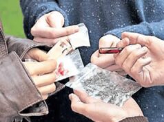 कई राज्यों में फैले ड्रग नेटवर्क का खुलासा, एसटीएफ ने तस्कर को दबोचा