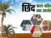 बस्तर का नवाचार: जंगल के छिंद बीजों से बनी हर्बल कॉफी, दुनियाभर में आकर्षण का केंद्र