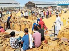 धान खरीद ने पकड़ी रफ्तार, मंडी में इस बार टूटा पिछले साल का रिकॉर्ड
