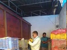 जहरीले तरीके से पकाए जा रहे थे फल, खाद्य विभाग की कार्रवाई में केला समेत कई फल जब्त