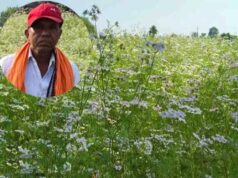 धनिया की खेती से मालामाल हुए किसान रतिराम, महासमुंद में बागवानी मिशन का दिखा असर