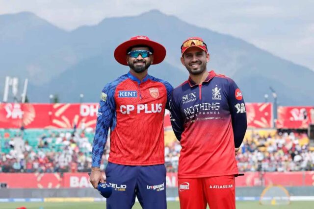 Cricket-3.jpg