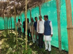 उप मुख्यमंत्री ने किया प्राकृतिक खेती का निरीक्षण