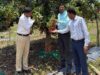 पारंपरिक फसलों से आगे बढ़ा बस्तर, लीची उत्पादन बना नई उम्मीद