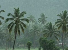 अरब सागर की परिस्थितियों ने बिगाड़ा मॉनसून का गणित, IMD का बड़ा अपडेट