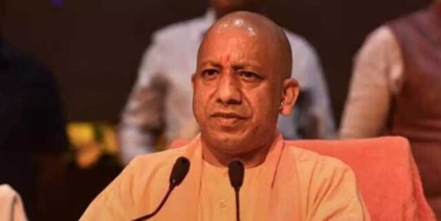 Yogi_03-21.jpg