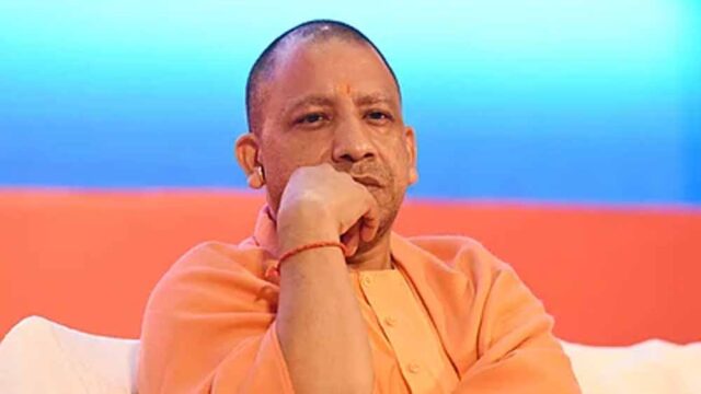 cm_yogi_4-2.jpg