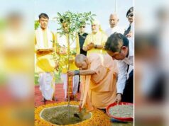 मां के नाम पेड़, यूपी बना रिकॉर्ड होल्डर—दुनिया में गूंजा हरित संदेश