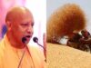 प्रदेश में गेहूं खरीद ने पकड़ी रफ्तार, 28 अप्रैल तक 6.10 लाख मीट्रिक टन गेहूं की खरीद