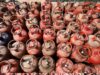 LPG के नियमों में बदलाव: डबल गैस पर रोक, OTP बेस्ड डिलीवरी आज से शुरू