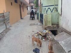 अतिक्रमण और पक्के निर्माण से सफाई प्रभावित, निकाय की कार्रवाई में मुश्किलें बढ़ीं