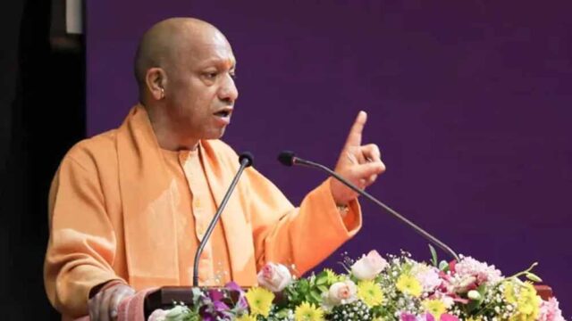 yogi-18.jpg
