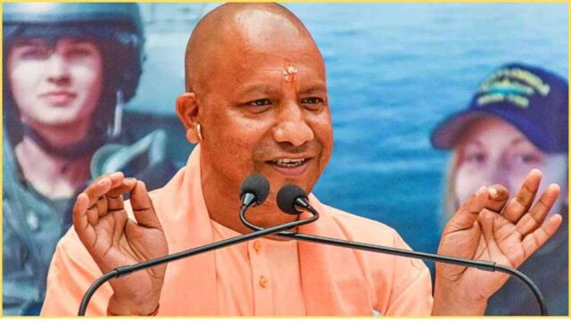 yogi111-1.jpg