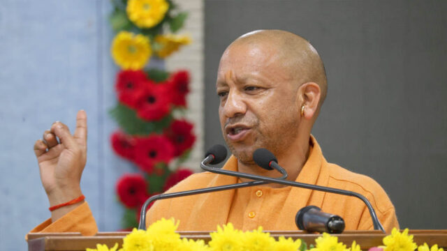 yogi_133_5-2.jpg