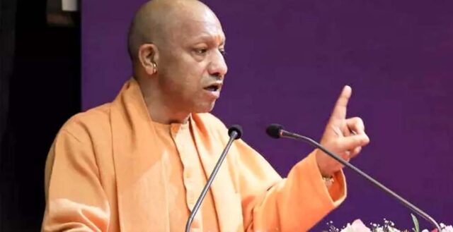 yogi_2_27_1-7.jpg