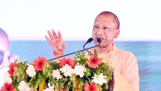 yogi_52-2.jpg