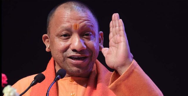 yogi_A_14_1-2.jpg