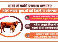 पंचगव्य से बनेंगे साबुन, पेंट, खाद, औषधियां और अन्य उत्पाद