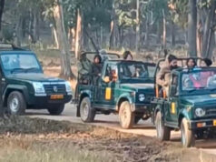 MP Tiger Reserve: 10 लाख से ज्यादा पर्यटकों ने देखा जंगल का रोमांच, आज से बंद होंगे सभी पार्क