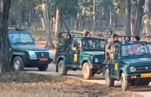 MP Tiger Reserve: 10 लाख से ज्यादा पर्यटकों ने देखा जंगल का रोमांच, आज से बंद होंगे सभी पार्क