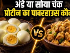 अंडा vs सोया चंक्स: प्रोटीन के मामले में कौन है ज्यादा फायदेमंद, जानिए एक्सपर्ट्स की राय