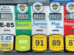 पेट्रोल खर्च होगा कम? E85 फ्यूल और Flex Fuel कारों पर मंत्री का बड़ा बयान