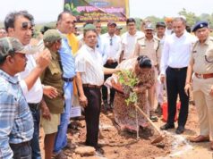 पर्यावरण संरक्षण पर जोर: जलवायु परिवर्तन से निपटने के लिए सामूहिक प्रयास जरूरी