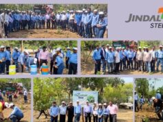 Jindal Steel Limited Raipur’s Green Mission: World Environment Day Observed with a Tree Plantation Drive
