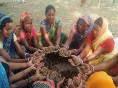 पर्यावरण बचाने की अनूठी पहल: सीड बॉल बनाकर हरियाली बढ़ाने का संदेश, हरित जशपुर का संकल्प