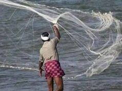 मानसून सीजन में मछलियों को मिलेगा संरक्षण, 15 अगस्त तक मछली पकड़ने पर रोक लागू