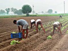 दीनदयाल योजना का लाभ: पात्र भूमिहीन परिवारों को 10 हजार रुपये की आर्थिक सहायता