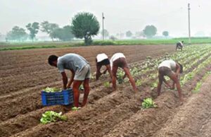 दीनदयाल योजना का लाभ: पात्र भूमिहीन परिवारों को 10 हजार रुपये की आर्थिक सहायता
